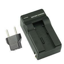 Fujifilm BC-80 Charger for NP-100 battery